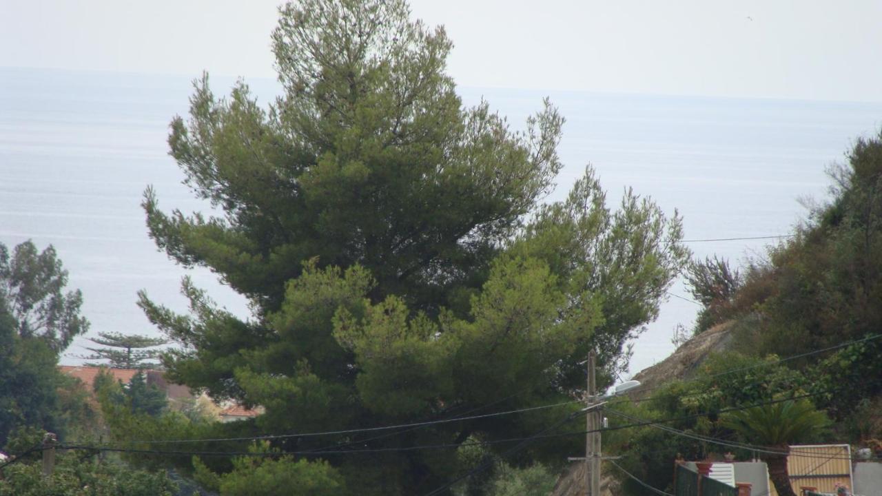 Bed & Breakfast La Colline D'hote Menton
