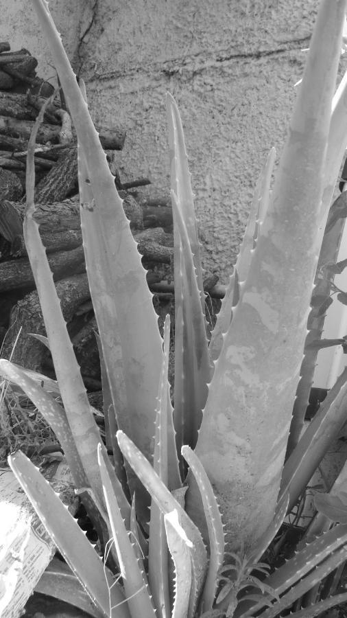 Frühstückspension La Colline D'hote