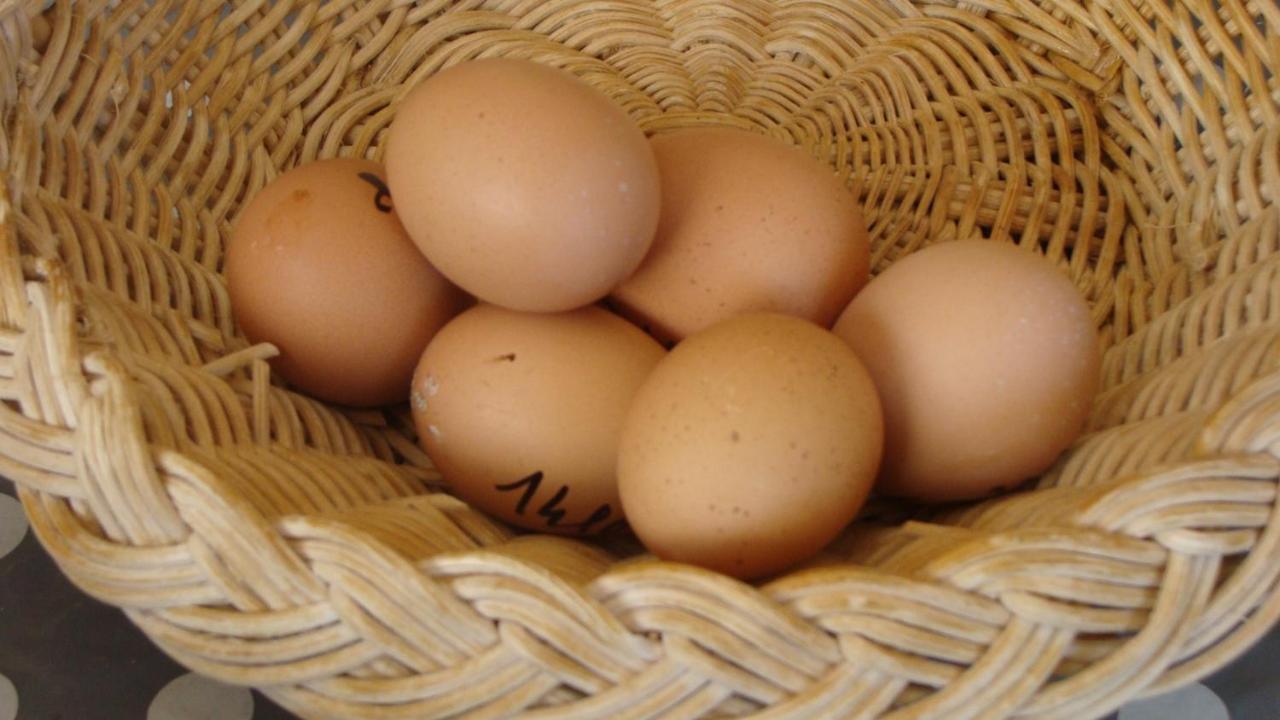 La Colline D'hote Frühstückspension
